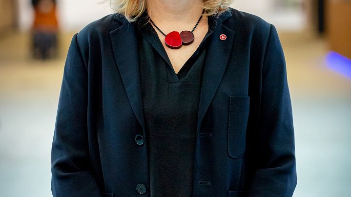 Malin Björk (V), EU-parlamentariker