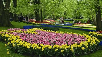 Linné hyllas på Keukenhof i vår