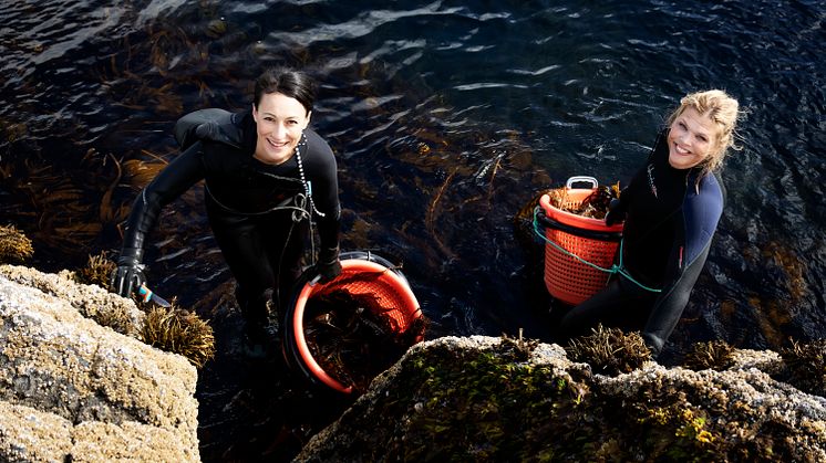 Lofoten Seaweed ist erstmal auf der Anuga vertreten und zeigt wie lecker Algen als Zutat und Gewürz sein können.