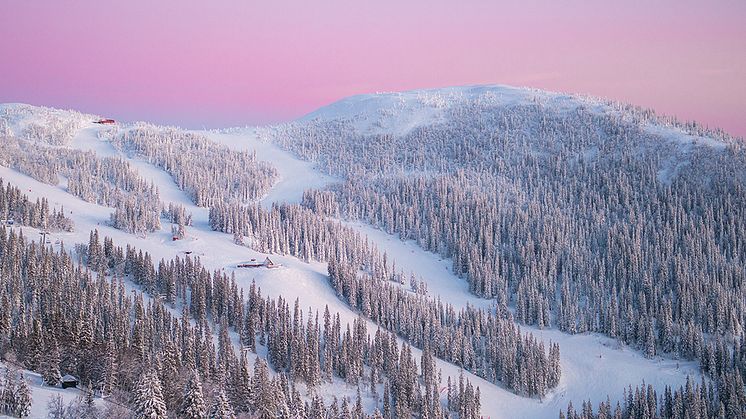 SkiStar's Climate Targets Approved by Science Based Targets Initiative (SBTi)