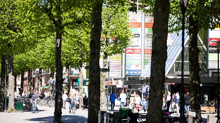 ”Jag måste flytta annars är jag en looser”
