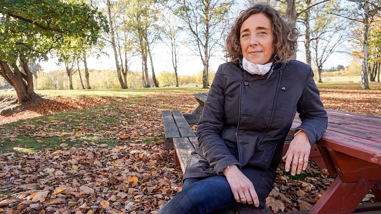 Karin Wendin