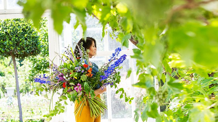Färgsprakande sommarflor på Sofiero