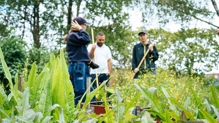 Många ungdomar får sommarjobb hos Bostadsbolaget