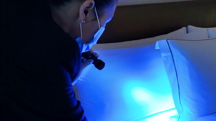 Housekeeping Supervisor using the Ultronic UV torch to inspect guest room at PARKROYAL on Beach Road.jpg