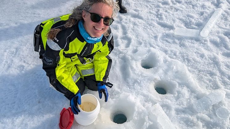 Collecting under-ice algae for production measurements 