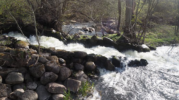 Vackra Silverforsen är en del av Kävlingeån och den når man via Folkets park. Foto: Kävlinge kommun