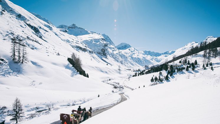 Pferdekutsche im Val Fex, Graubünden