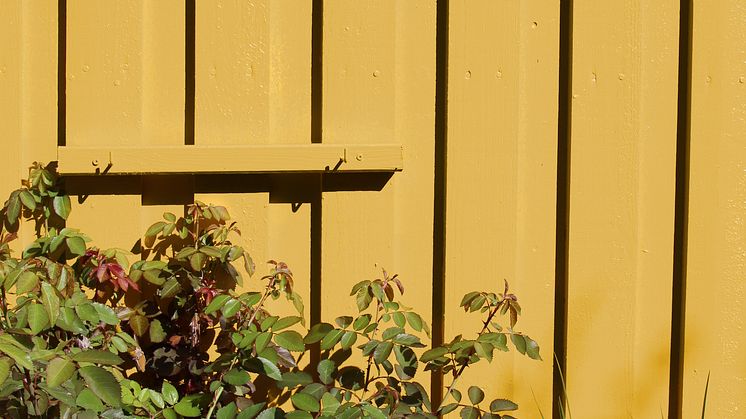 Herrgårdsgul 55