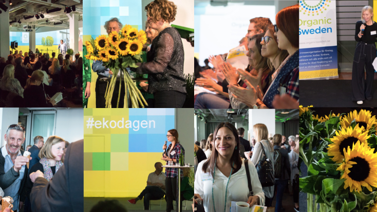 Ekologiska Framtidsdagen. Foto: Fredrik Sederholm