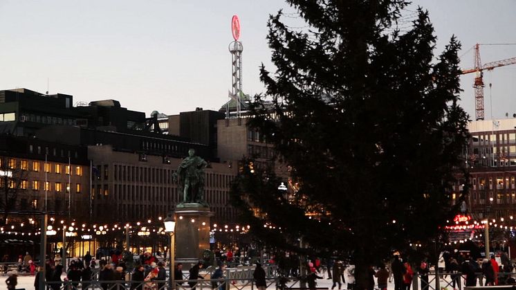 Julbelysning för Kungsträdgården 2012, levererat av Helgbutiken.se