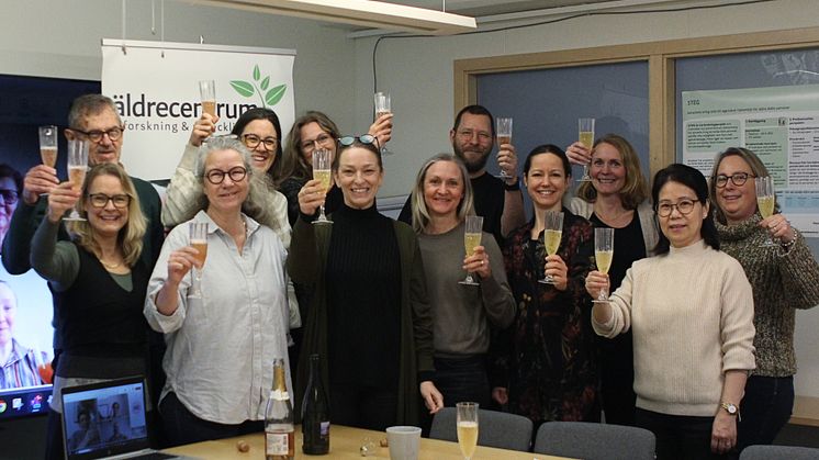 I sex delar kommer forskare från Stiftelsen Äldrecentrum att undersöka hur äldre personer kan bli mer delaktiga i hemtjänsten. Foto: Stiftelsen Äldrecentrum
