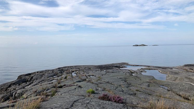 I Vänern har uppmätts 21 olika ämnen och 50 ämnen i de tillrinnande vattendragen enligt ny rapport. Foto: Sara Peilot