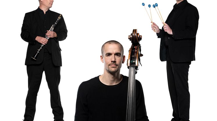 Blåsarsymfonikernas lilla jazzgrupp. Foto Mats Bäcker och Markus Gårder. Bilden är ett collage.