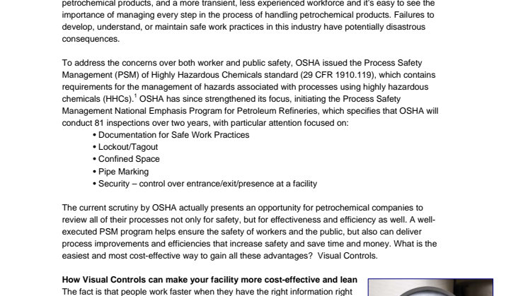 Visual Controls and Process Safety Management in the Petrochemical Industry: Safety, Knowledge Transfer, and OSHA's NEP