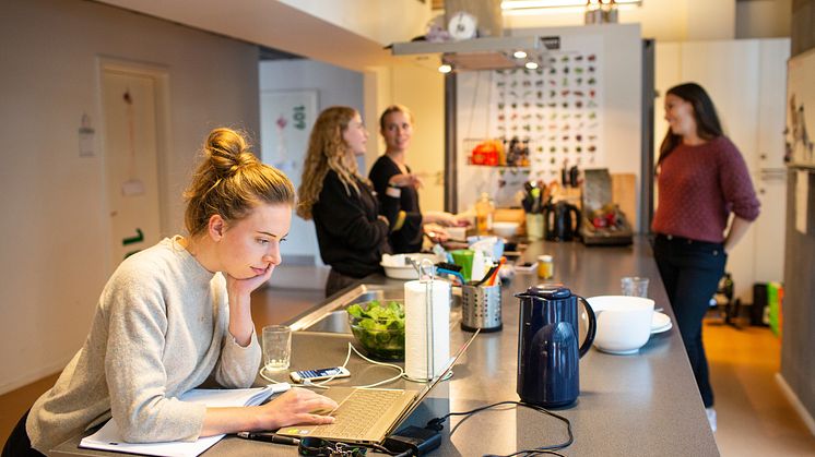 Ny undersøgelse: Det betaler sig at bygge fællesskaber - både socialt og samfundsøkonomisk