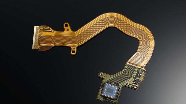 EOS 1DX_MKII AE SENSOR BK BEAUTY FSL