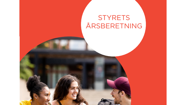 Styrets årsberetning 2020
