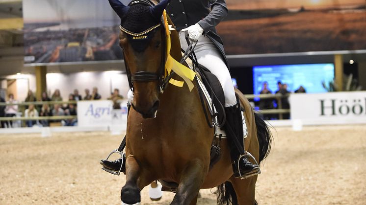 Charlotte Haid-Bondergaard