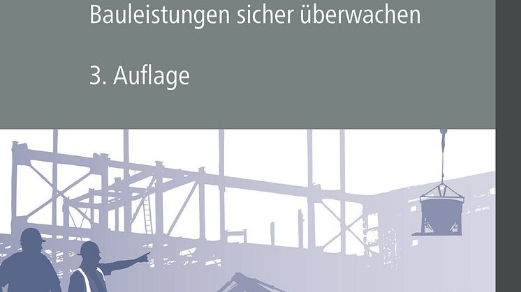 Praxis-Handbuch Bauleiter (2D/jpg)