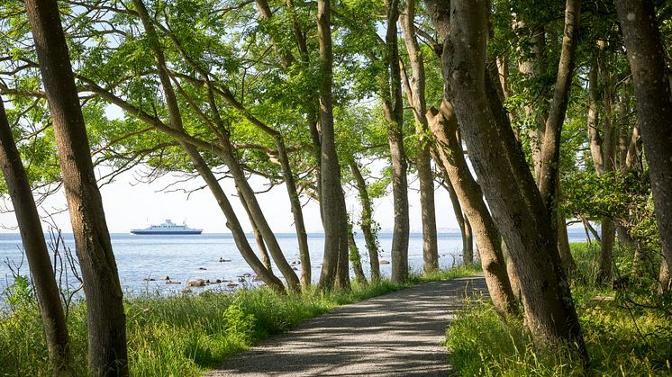 View of Jeløya, Moss, Norway. Photo: Eivind Lauritzen. Courtesy Galleri F 15.