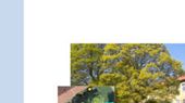 SVU-rapport 2011-11: Silver i blad – metod för att identifiera träd som gjort rotinträngningar i spillvattenledningar