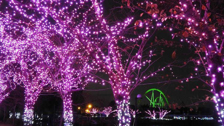 Tobu Zoo Winter Illumination 2016-2017(1)