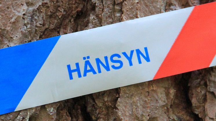 Dyrast naturhänsyn är inte alltid effektivast