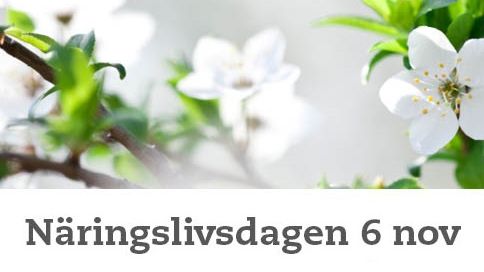Inkubatorn i Borås är medarrangör till Borås första Näringslivsdag  