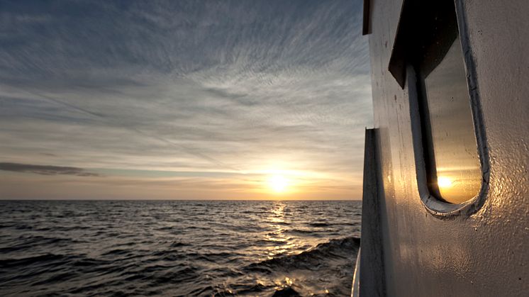 MSC i Sveriges Radio