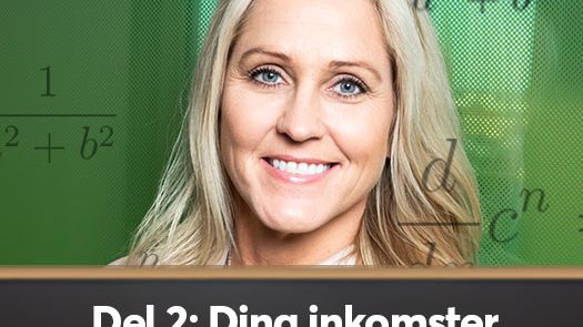 Del 2 av ekonomiskolan: Dina inkomster
