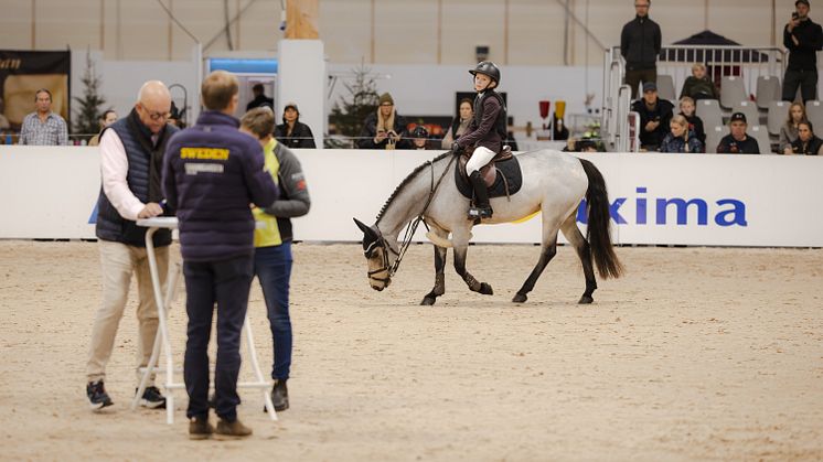 Clara Clewåker JHS24 - Småland Equitation Challenge-2.jpg