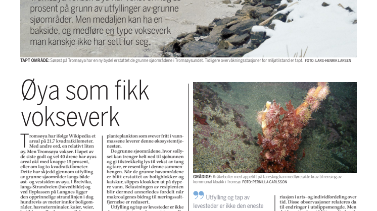 Øya som fikk vokseverk