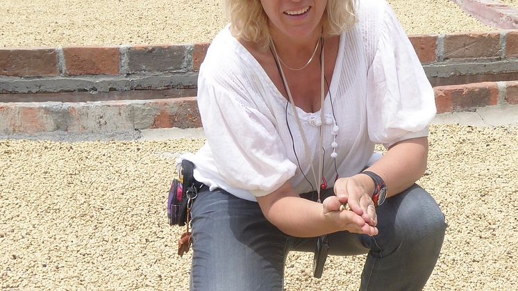 Minette Rosén