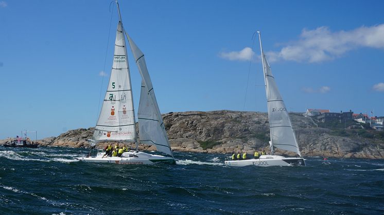 Match Cup 2020