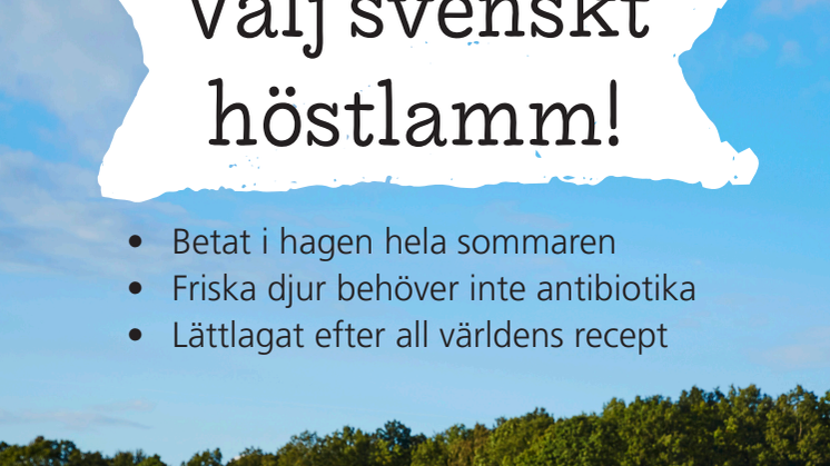 Kampanj #Höstlamm 2018, original butiksmaterial
