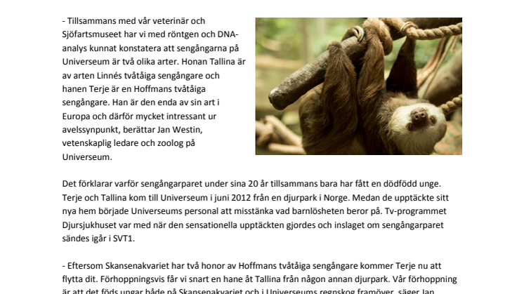 Zoologisk sensation på Universeum