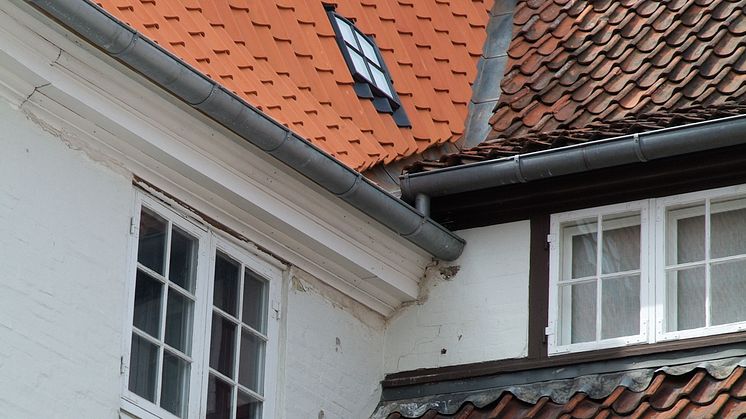 I skyggen af Roskilde Domkirke 1
