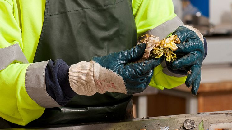 NSR säljer av sitt produktområde Plockanalyser