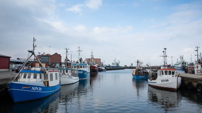 ​Gemensam strategi för svenskt fiske och vattenbruk