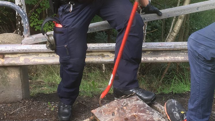 Foto: Städa Sverige