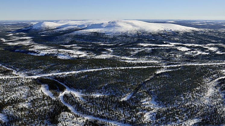 Gemensam kraftsamling sker med stöd från Boliden Mineral AB, Gällivare kommun, LKAB och Sparbanken Nord - Framtidsbanken.​