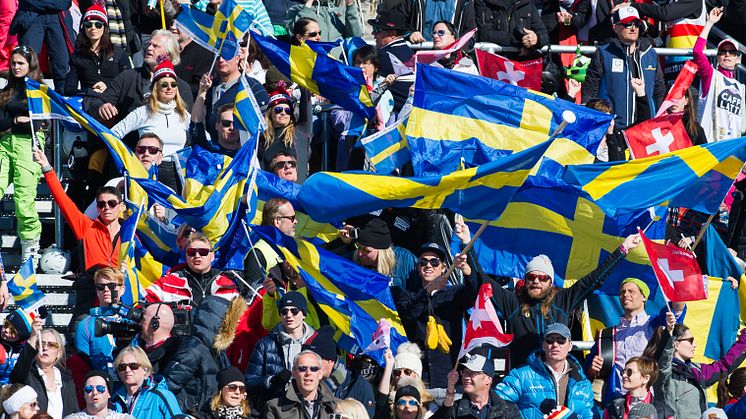 Alpina landslagets träningsgrupper 2019/2020