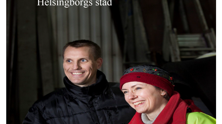 Företagsklimat 2013, Insikt, Helsingborgs stad