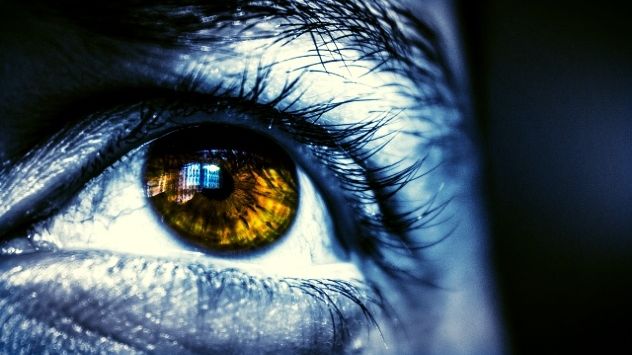 Bitdefender spår de fem största säkerhetshoten 2016