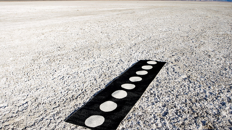 WallVision expands into designer rugs through the acquisition of Pappelina