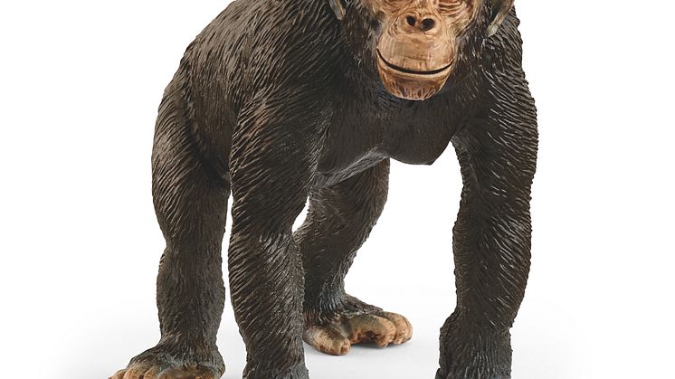 14883_Wild Life_Chimpanzee_(c)schleich®