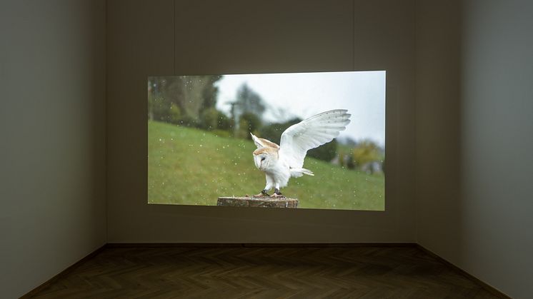 Jeremy Deller, English Magic, 2013