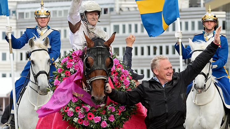 Franske Dijon vann Elitloppet 2019. Foto: TR Bild