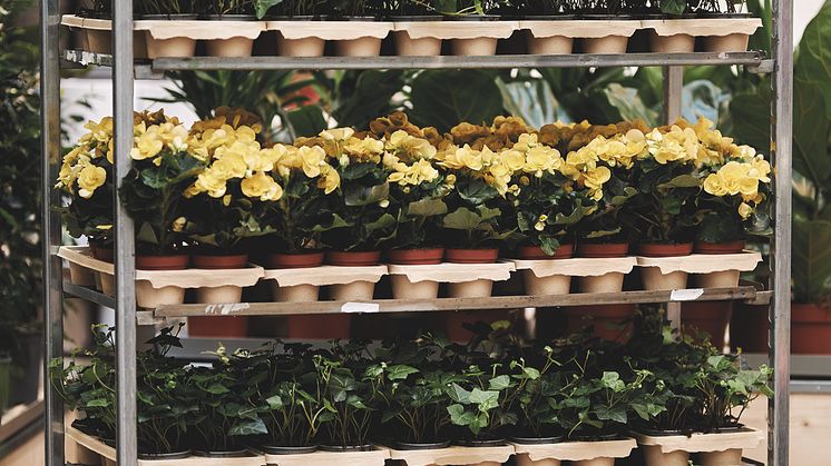 Blomsterlandet-HortiTray-CC-vagn-standing-23032212443